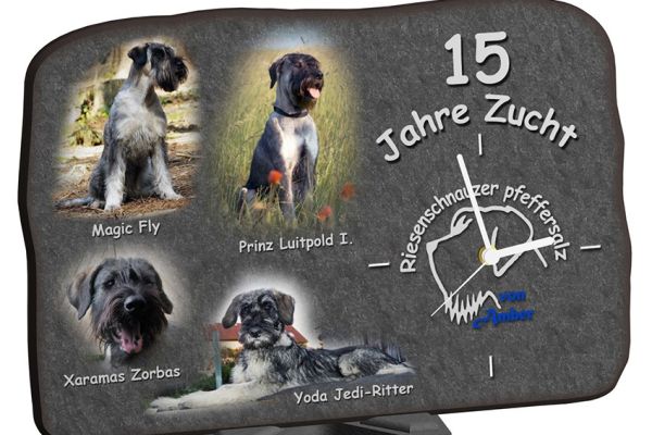 hunde58693717-fe18-01c6-651a-1673b396f371D34D7A9B-CB30-A2AB-5578-F8AFAAF58FA1.jpg